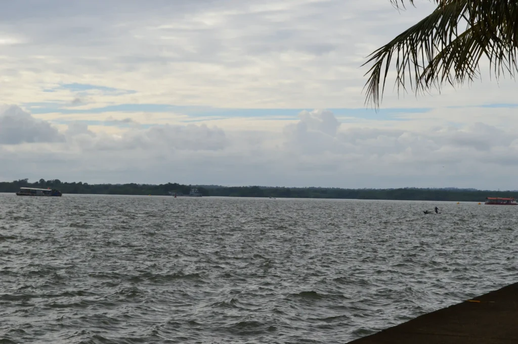 NIN_DSC_0433
